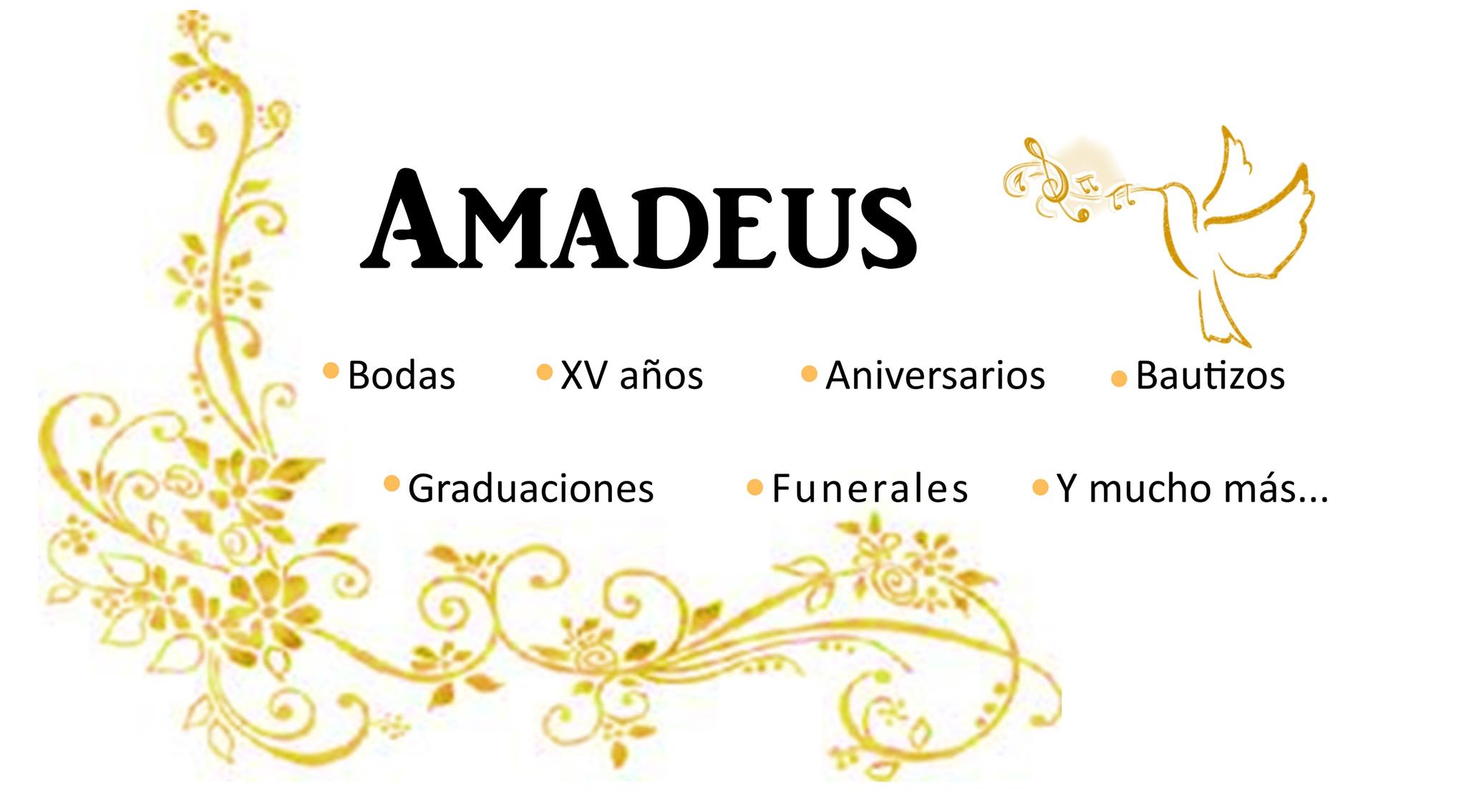 Presentación Ensamble Amadeus